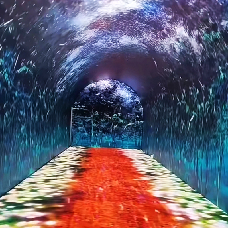 OEM Indoor Outdoor Arch Flexible LED Video Wall Interactive LED Curved Tunnel Display Immersive Tunnel Screen